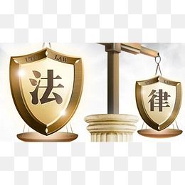 律师访谈丨茁壮成长的“后浪”——王文静律师